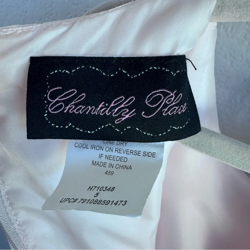 Chantilly Place Sleeveless Blush-Pink Floral Waist Tulle Gown for Girls. Size 5. - Picture 12 of 17